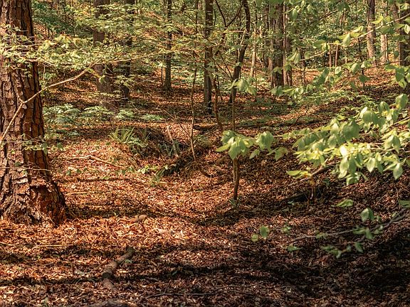 4th image of 0 Hancock Mountain Trl