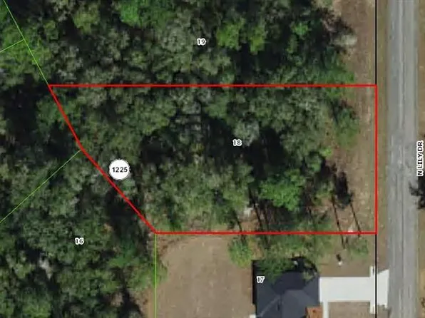 8844 N Lily Dr, Citrus Springs, FL 34434