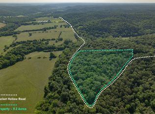 0 Packet Hollow Rd, Pineville, MO 64856