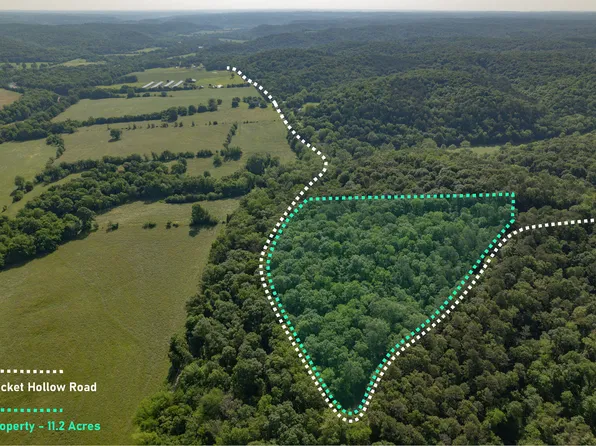 000 Packet Hollow Road, Pineville, MO 64856