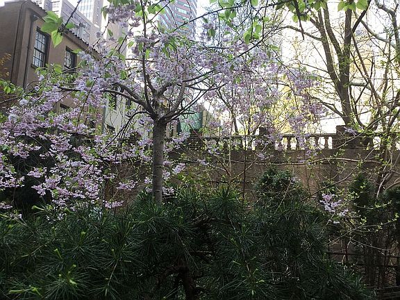 3rd image of 249 E 48th St APT 2J