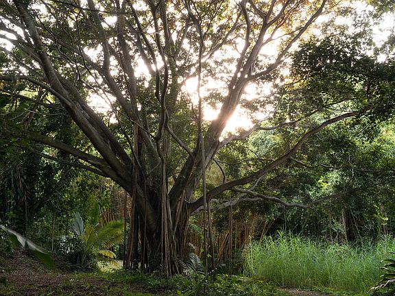 4th image of 715 N Honokala Rd