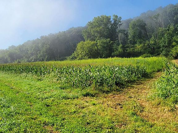 4th image of 4795 COUNTY ROAD C