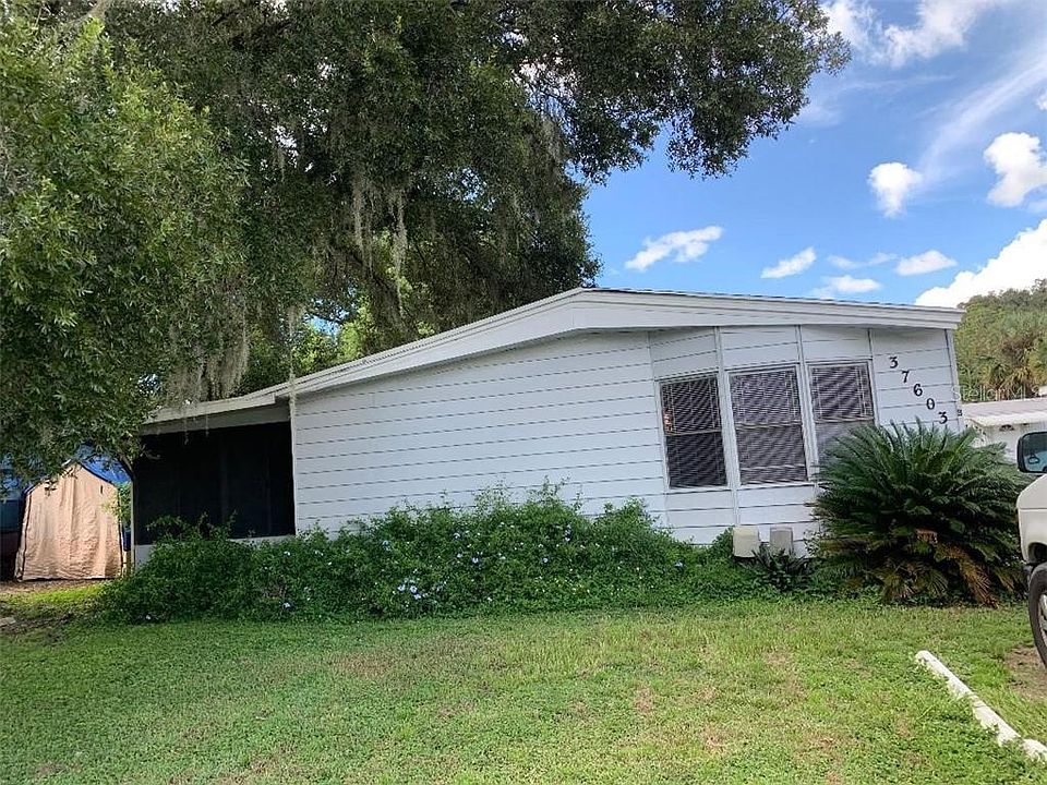 1st image of 37603 Tall Pines Dr