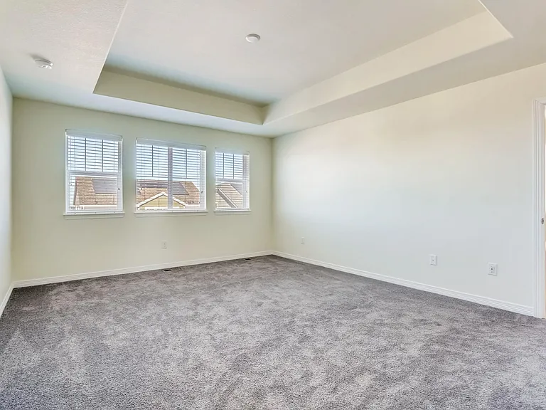 Master bedroom. High tray ceilings.