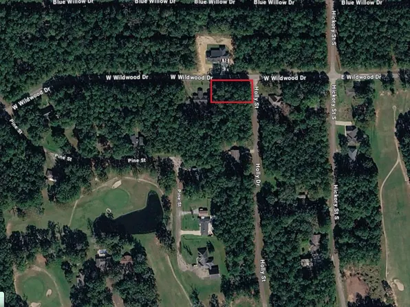0 Wildwood Dr, Village Mills, TX 77663