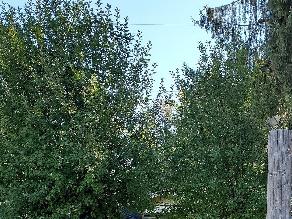 1st image of 8811 State Route 92