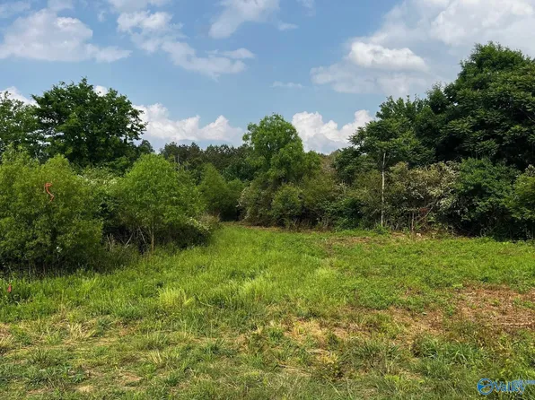 State Highway 176, Collinsville, AL 35961
