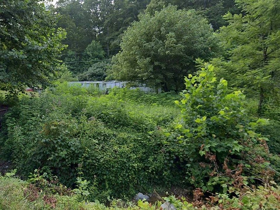 2nd image of 562 Left Fork Big Lynn Creek Rd