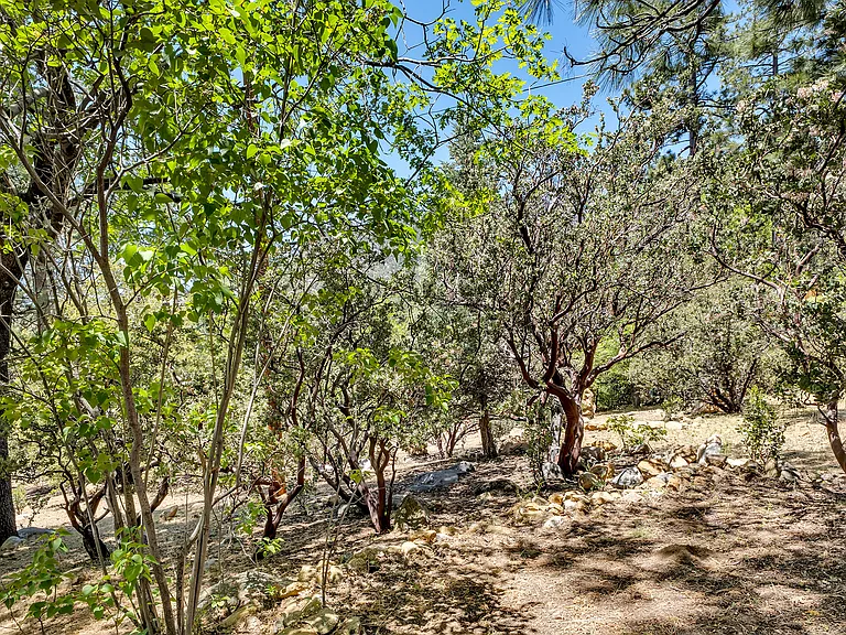 25465 Seneca Dr — Photo 60
