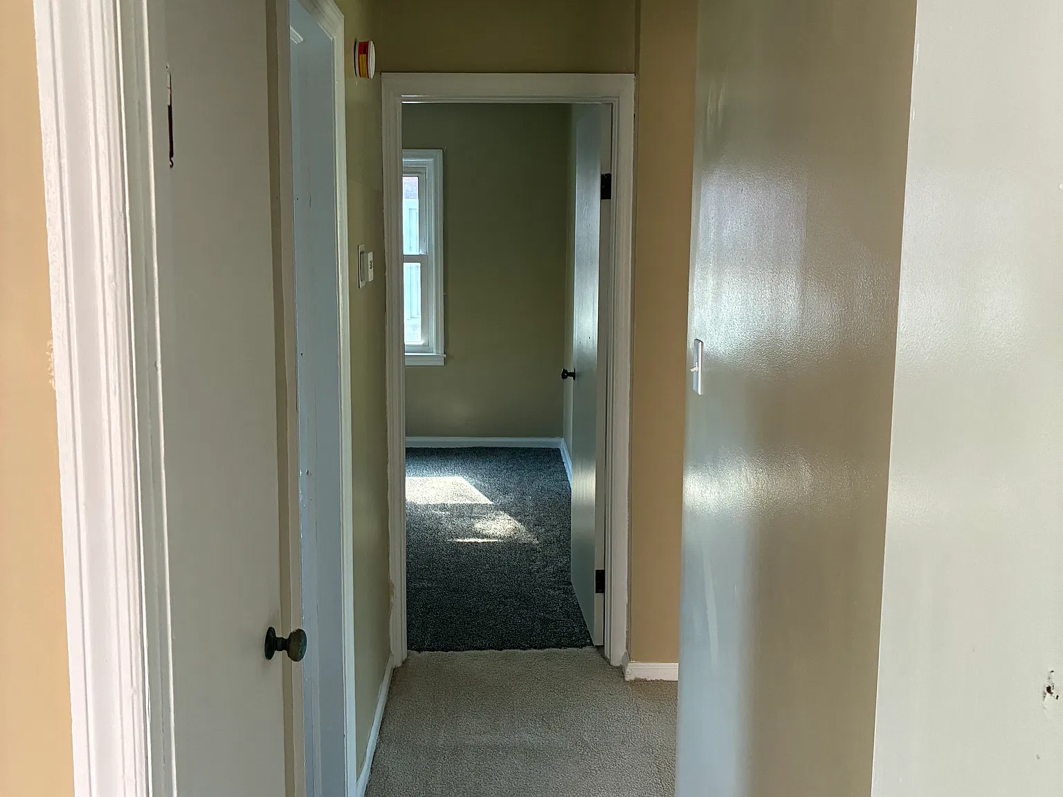 2 bed, 850 sqft, $1,350 — Photo 3