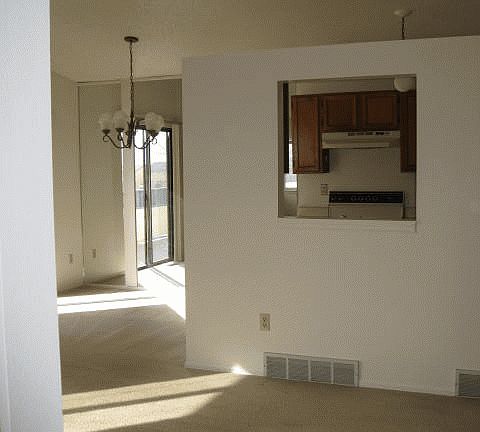 View From the Front Door