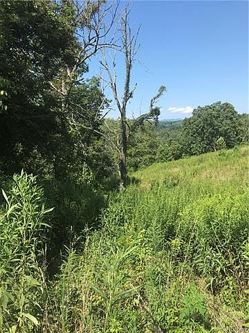 2nd image of 9999 Magnolia Lane