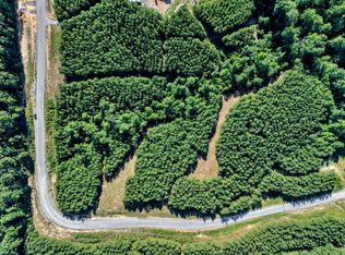 66 Shoreside At Sipsey, Double Springs, AL 35553