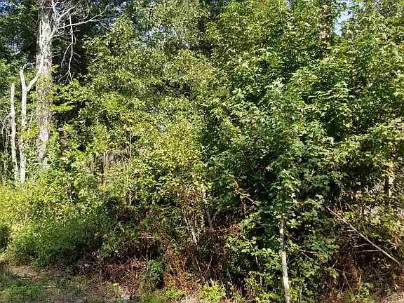 4th image of 12 & 13 Birch Dr