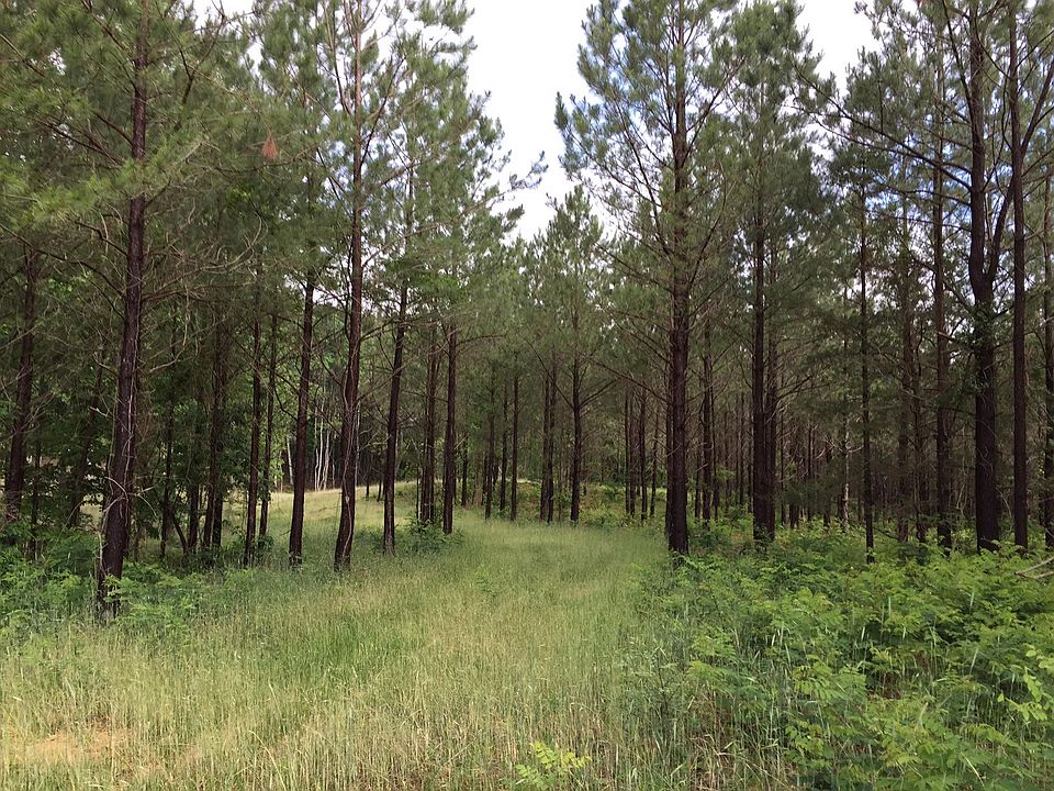 1st image of 0 Bear Trace Dr #Rb203