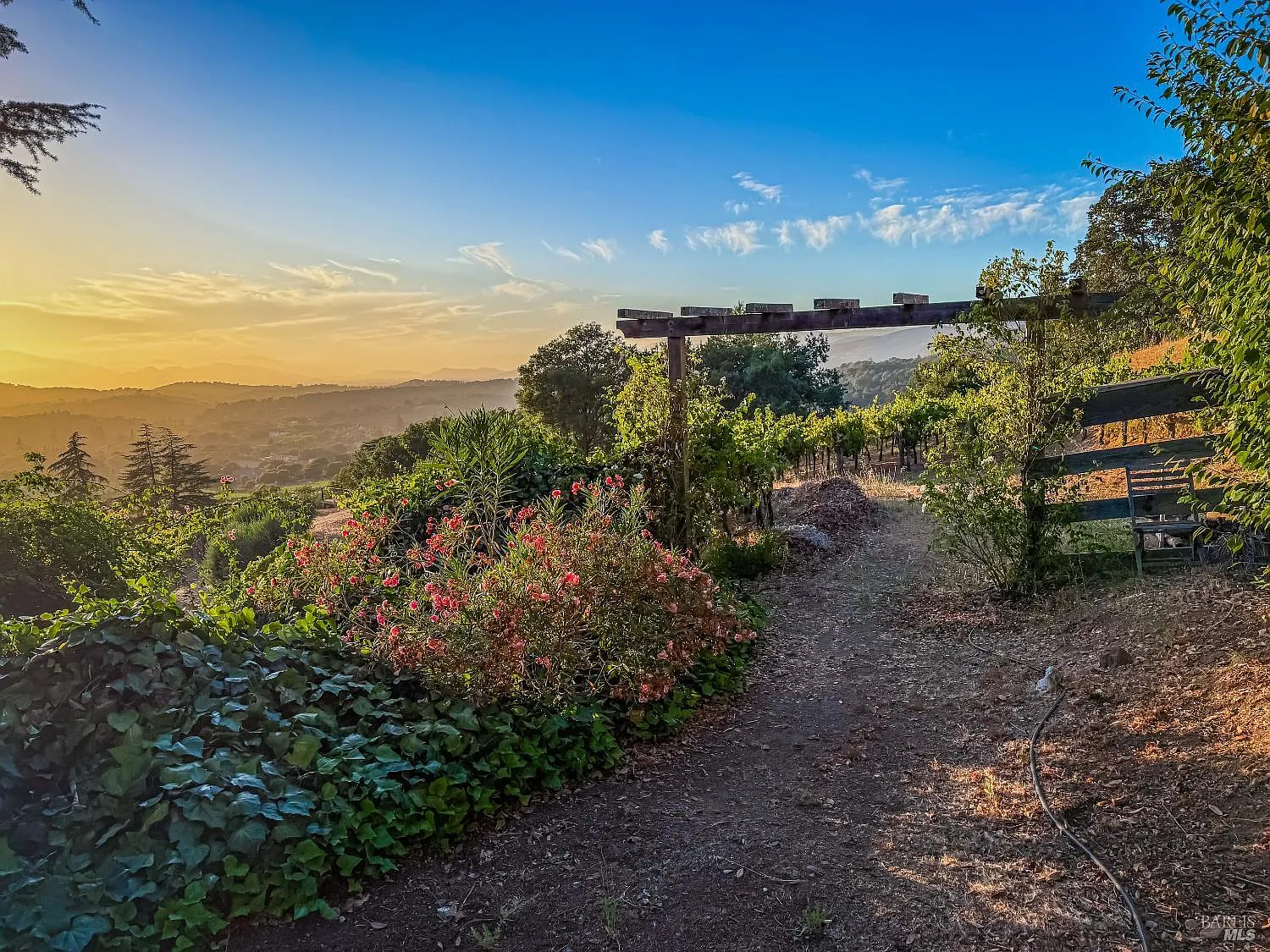 6006 Wild Horse Valley Road - Photo 2
