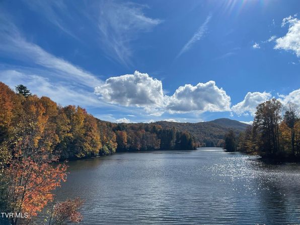 144 Ripshin Lake Rd, Roan Mountain, TN 37687