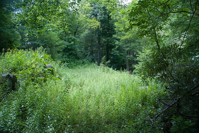 2nd image of 162 River View Ln