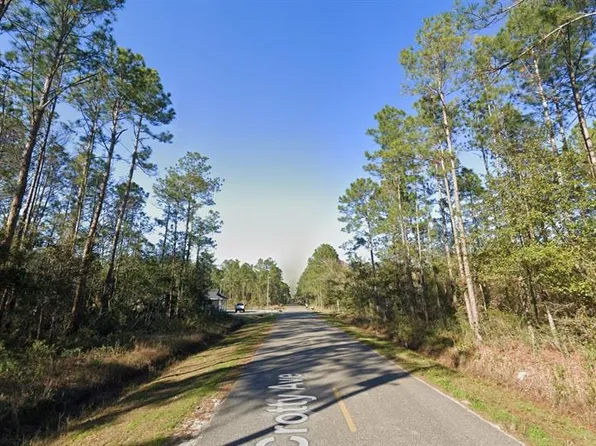 9910 Crotty Ave, Hastings, FL 32145