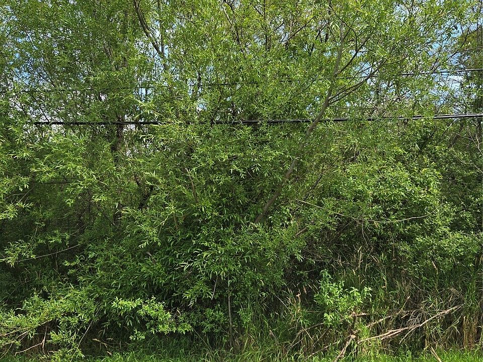 2nd image of 7933 Custer Road