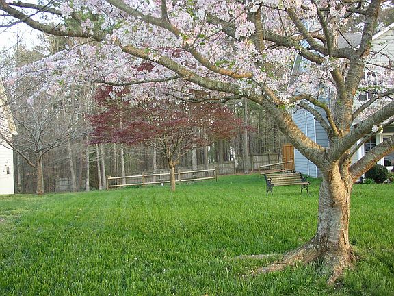 nice open yard