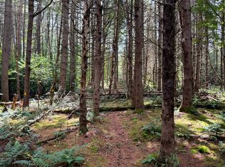 1.2 Farr Rd #2, Forestport, NY 13338