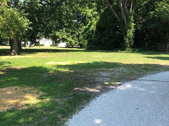 Large backyard with trees