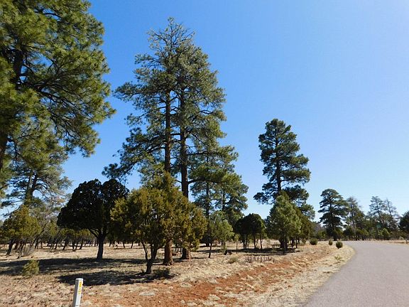 2nd image of 5691 Tamarron Dr