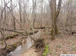 County Road 17, Roanoke, AL 36274