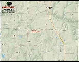 3rd image of 141 Coyote Ln