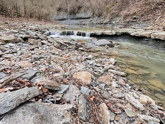 4th image of 4405 Nixon Rd