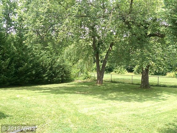 Spacious Fenced in Backyard