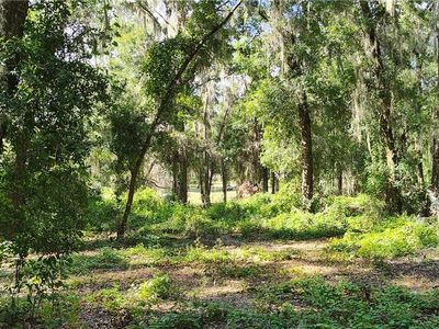 8600 E Lake Bradley Rd, Floral City, FL, 34436