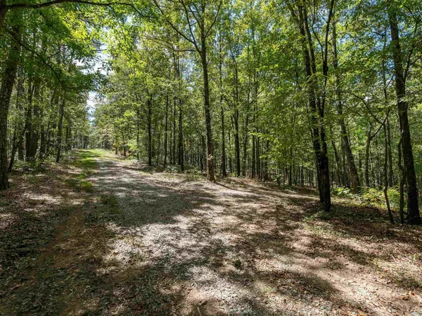 1385 County Road 467 #1, Harpersville, AL 35178