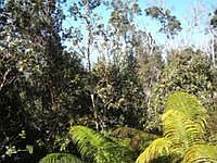 1st image of 73-1705 Kaloko Dr