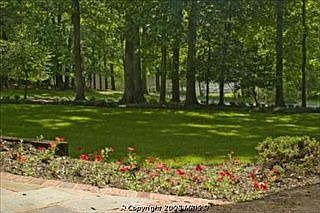 2nd image of 3131 Trenholm Dr