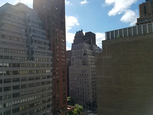 Rented by Manhattan Apartment Organization | media 148