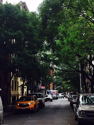 Rented by New York Manhattan Real Estate Incorporated | media 30