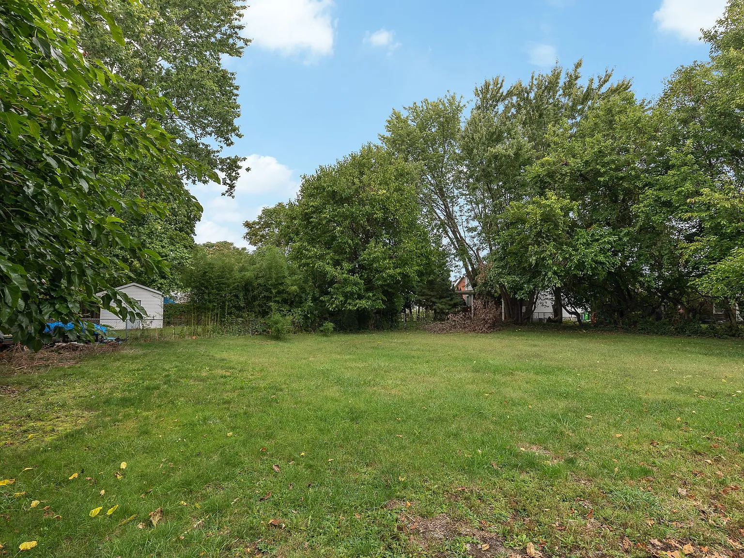 29449 Euclid Ave — Photo 4