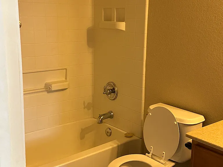 Guest Bath Upstairs