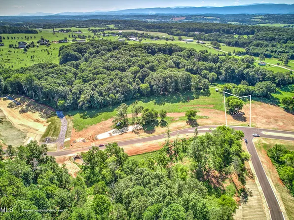 5-826 Sophie Dr, Greenback, TN 37742