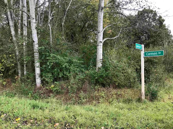 1098 Carmen Dr, Weidman, MI 48893