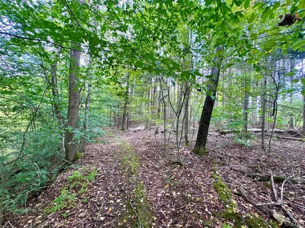 East Rd, Angelica, NY 14709