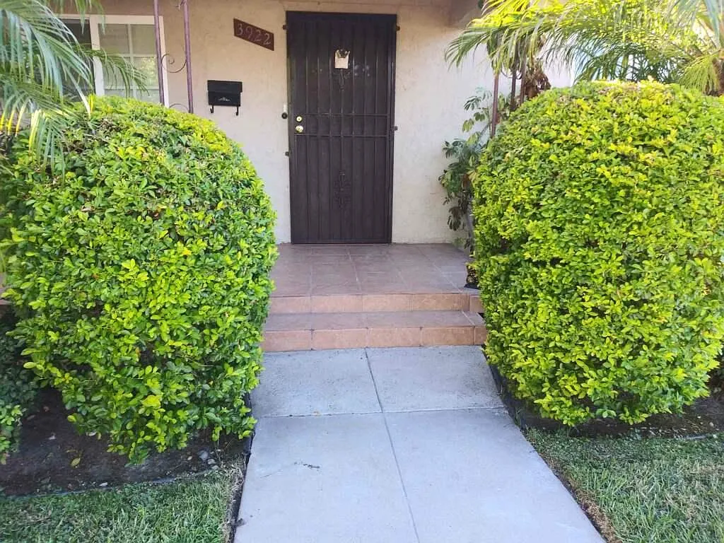 3922 Boyce Ave — Photo 4