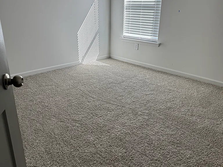 3411 Adler Trl — Photo 1