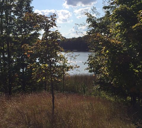 View of Clifford Lake