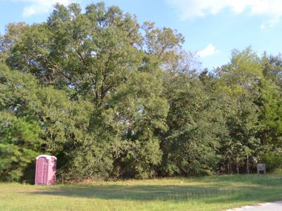 218 Appleoak Ln, Hopkins, SC, 29061