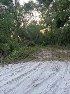 Havenwoods Rd, Spring Hill, FL, 34610