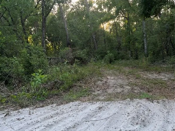 Havenwoods Rd, Spring Hill, FL 34610